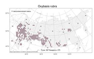 Oxybasis rubra (L.) S. Fuentes, Uotila & Borsch, Atlas of the Russian Flora (FLORUS) (Russia)