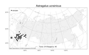 Astragalus ucrainicus Popov & Klokov, Atlas of the Russian Flora (FLORUS) (Russia)