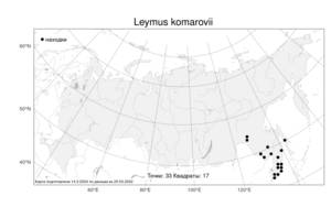 Leymus komarovii (Roshev.) J.L.Yang & C.Yen, Atlas of the Russian Flora (FLORUS) (Russia)