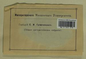 Hygrohypnum luridum (Hedw.) Jenn., Bryophytes, Bryophytes (no precise locality) (B0)