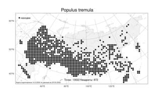 Populus tremula L., Atlas of the Russian Flora (FLORUS) (Russia)