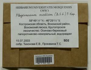 Plagiomnium medium (Bruch & Schimp.) T.J. Kop., Bryophytes, Bryophytes - Middle Russia (B6) (Russia)