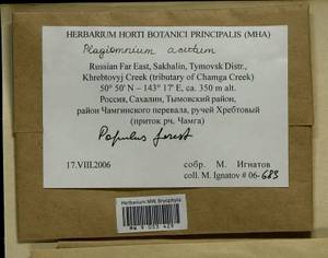 Plagiomnium acutum (Lindb.) T.J. Kop., Bryophytes, Bryophytes - Russian Far East (excl. Chukotka & Kamchatka) (B20) (Russia)