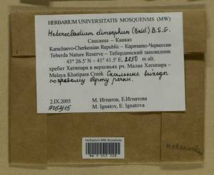 Heterocladiella dimorpha (Brid.) Ignatov & Fedosov, Bryophytes, Bryophytes - North Caucasus & Ciscaucasia (B12) (Russia)