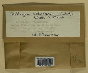 Calliergon richardsonii (Mitt.) Kindb. ex G. Roth, Bryophytes, Bryophytes - Western Europe (BEu) (Switzerland)