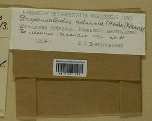 Drepanocladus aduncus (Hedw.) Warnst., Bryophytes, Bryophytes - Moscow City & Moscow Oblast (B6a) (Russia)
