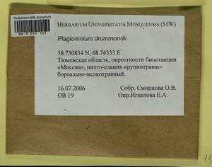 Plagiomnium drummondii (Bruch & Schimp.) T.J. Kop., Bryophytes, Bryophytes - Western Siberia (including Altai) (B15) (Russia)