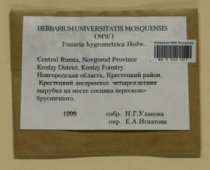 Funaria hygrometrica Hedw., Bryophytes, Bryophytes - Novgorod & Pskov Oblasts (B5) (Russia)