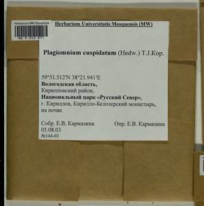 Plagiomnium cuspidatum (Hedw.) T.J. Kop., Bryophytes, Bryophytes - European North East (B7) (Russia)