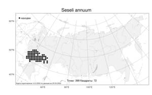 Seseli annuum L., Atlas of the Russian Flora (FLORUS) (Russia)