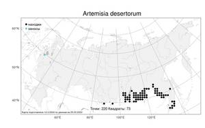 Artemisia desertorum Spreng., Atlas of the Russian Flora (FLORUS) (Russia)