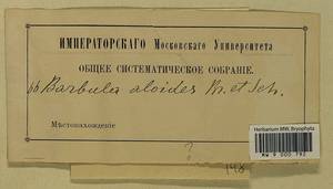 Aloina aloides (W.D.J. Koch ex Schultz) Kindb., Bryophytes, Bryophytes (no precise locality) (B0)