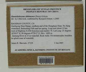 Handeliobryum sikkimense (Renauld & Cardot) Ochyra, Bryophytes, Bryophytes - Asia (outside ex-Soviet states) (BAs) (China)