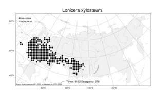 Lonicera xylosteum L., Atlas of the Russian Flora (FLORUS) (Russia)