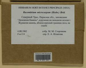 Bucklandiella microcarpos (Hedw.) Bedn.-Ochyra & Ochyra, Bryophytes, Bryophytes - Permsky Krai, Udmurt Republic, Sverdlovsk & Kirov Oblasts (B8) (Russia)
