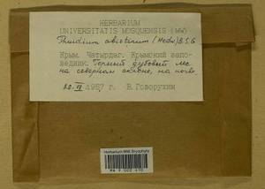 Abietinella abietina (Hedw.) M. Fleisch., Bryophytes, Bryophytes - Crimea (B3a) (Russia)