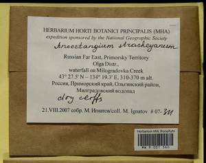 Anoectangium stracheyanum Mitt., Bryophytes, Bryophytes - Russian Far East (excl. Chukotka & Kamchatka) (B20) (Russia)