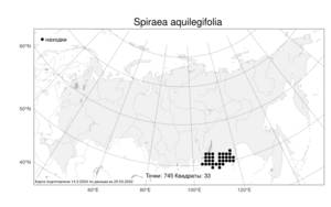 Spiraea aquilegifolia Pall., Atlas of the Russian Flora (FLORUS) (Russia)