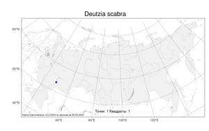 Deutzia scabra Thunb., Atlas of the Russian Flora (FLORUS) (Russia)