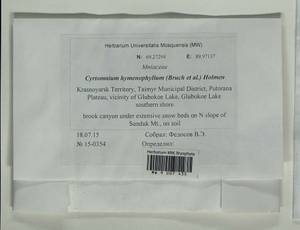 Cyrtomnium hymenophylloides (Huebener) T.J. Kop., Bryophytes, Bryophytes - Krasnoyarsk Krai, Tyva & Khakassia (B17) (Russia)