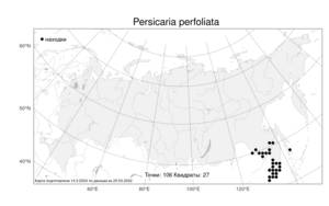 Persicaria perfoliata (L.) H. Gross, Atlas of the Russian Flora (FLORUS) (Russia)