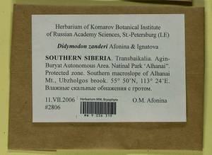 Husnotiella rufidula (Müll. Hal.) J.A. Jiménez & M.J. Cano, Bryophytes, Bryophytes - Baikal & Transbaikal regions (B18) (Russia)