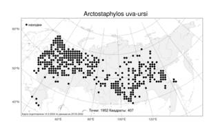 Arctostaphylos uva-ursi (L.) Spreng., Atlas of the Russian Flora (FLORUS) (Russia)