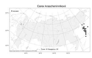 Carex krascheninnikovii Kom. ex V.I.Krecz., Atlas of the Russian Flora (FLORUS) (Russia)