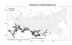 Taraxacum erythrospermum Andrz. ex Besser, Atlas of the Russian Flora (FLORUS) (Russia)