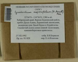 Cynodontium asperifolium (Lindb. ex Arnell) Paris, Bryophytes, Bryophytes - Russian Far East (excl. Chukotka & Kamchatka) (B20) (Russia)