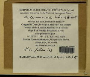 Aulacomnium heterostichum (Hedw.) Bruch & Schimp., Bryophytes, Bryophytes - Russian Far East (excl. Chukotka & Kamchatka) (B20) (Russia)
