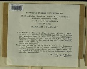 Helodium blandowii (F. Weber & D. Mohr) Warnst., Bryophytes, Bryophytes - Baikal & Transbaikal regions (B18) (Russia)