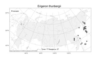 Erigeron thunbergii A. Gray, Atlas of the Russian Flora (FLORUS) (Russia)