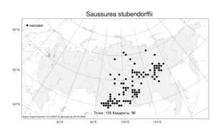 Saussurea stubendorffii Herder, Atlas of the Russian Flora (FLORUS) (Russia)