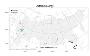 Artemisia argyi H. Lév. & Vaniot, Atlas of the Russian Flora (FLORUS) (Russia)