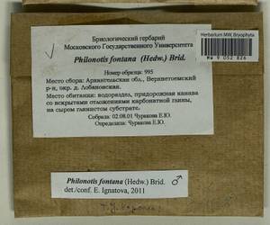 Philonotis fontana (Hedw.) Brid., Bryophytes, Bryophytes - European North East (B7) (Russia)