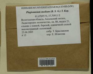 Plagiomnium medium (Bruch & Schimp.) T.J. Kop., Bryophytes, Bryophytes - European North East (B7) (Russia)