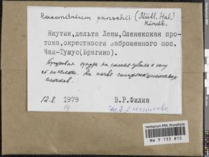 Niphotrichum panschii (Müll. Hal.) Bedn.-Ochyra & Ochyra, Bryophytes, Bryophytes - Yakutia (B19) (Russia)