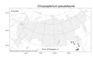 Chrysosplenium sinicum Maxim., Atlas of the Russian Flora (FLORUS) (Russia)
