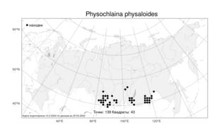 Physochlaina physaloides (L.) G. Don, Atlas of the Russian Flora (FLORUS) (Russia)