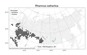 Rhamnus cathartica L., Atlas of the Russian Flora (FLORUS) (Russia)