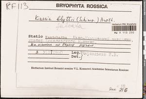 Kiaeria falcata (Hedw.) I. Hagen, Bryophytes, Bryophytes - Chukotka & Kamchatka (B21) (Russia)