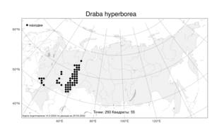 Draba hyperborea (L.) Desv., Atlas of the Russian Flora (FLORUS) (Russia)