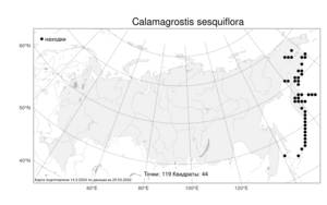 Calamagrostis sesquiflora (Trin.) Tzvelev, Atlas of the Russian Flora (FLORUS) (Russia)