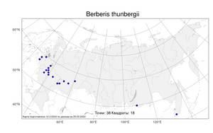 Berberis thunbergii DC., Atlas of the Russian Flora (FLORUS) (Russia)