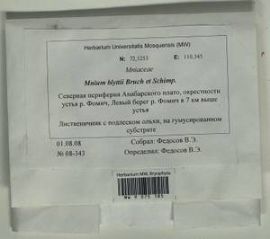 Mnium blyttii Bruch & Schimp., Bryophytes, Bryophytes - Krasnoyarsk Krai, Tyva & Khakassia (B17) (Russia)