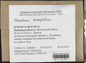 Fissidens taxifolius Hedw., Bryophytes, Bryophytes - Central forest-and-steppe region (B10) (Russia)
