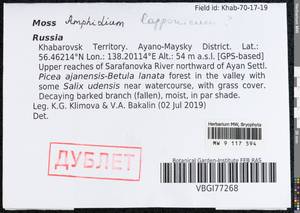 Amphidium lapponicum (Hedw.) Schimp., Bryophytes, Bryophytes - Russian Far East (excl. Chukotka & Kamchatka) (B20) (Russia)