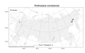 Androsace constancei Wendelbo, Atlas of the Russian Flora (FLORUS) (Russia)