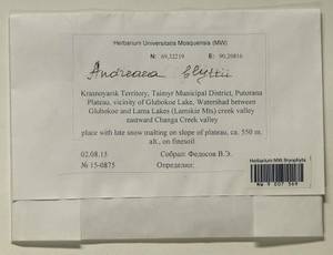 Andreaea blyttii Schimp., Bryophytes, Bryophytes - Krasnoyarsk Krai, Tyva & Khakassia (B17) (Russia)